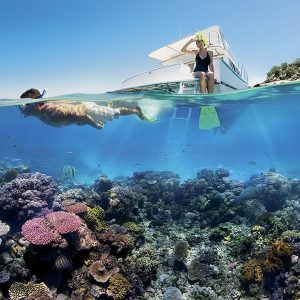 Experiencia “Cozumel Reef Adventure”