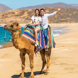 Experiencia “Desierto &amp; Camellos”