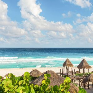 Experiencia “Selva &amp; Desayuno Premium” (Cancún)